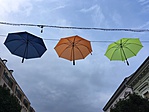 IMG_5978