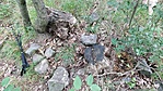 IMG_20180706_125724