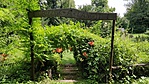 IMG_20180721_124451