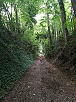 IMG_20180712_163047[1]
