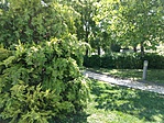 IMG_20180708_134925627