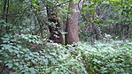 IMG_20180708_152312