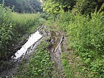 IMG_20180723_192032