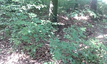 20180721_120324