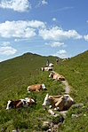P1290184