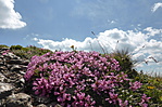 P1290201