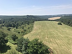 IMG_1864