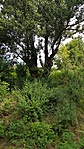 20180728_105522