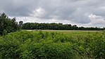 20180728_105827
