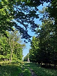 2018-07-01 08.31.46R