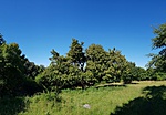 2018-07-01 09.05.41R