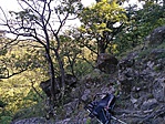 IMG_20180714_095138