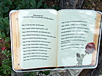 DSCN0677-001