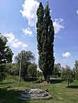 IMG_20180721_120452[1]