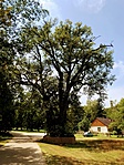 IMG_1711