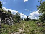 IMG_0479