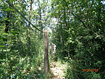 DSC02060