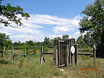DSC02064