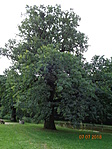 DSC02162
