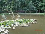 DSC02163