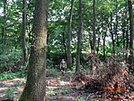 DSC02167
