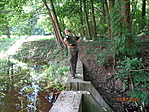 DSC02246