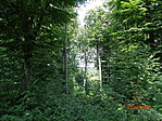 DSC02270