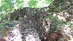 20180714_094016