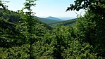 20180714_105150