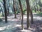 1-2