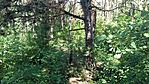 20180702_105742