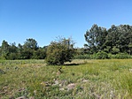 IMG_20180701_085028