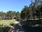 IMG_20180701_085132