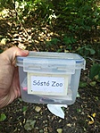 IMG_20180708_154323