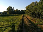 IMG_20180716_192601