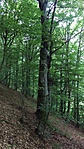 IMAG2548