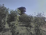 IMG_20180725_092754