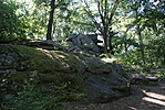 DSC08960