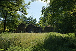 DSC09019