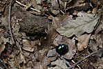 DSC09045