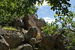 DSC09050