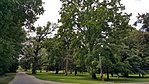 20180715_112539