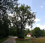 20180715_112433
