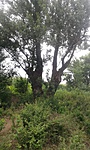 20180628_082802