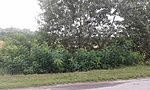 20180628_083625