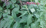 20180718_180608