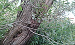 20180718_180757