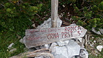 Iránymutatás