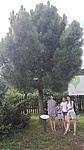 IMG_20180708_175652