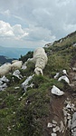 IMG_20180729_124948